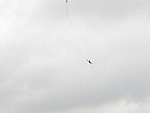 P5223663.jpg